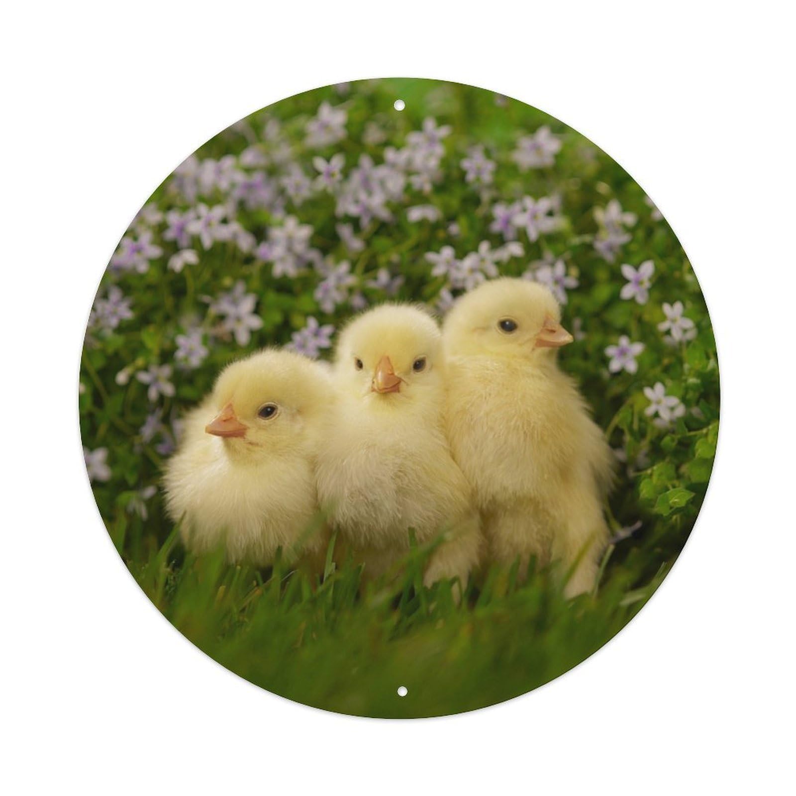 Serenity Nature Poster Chick Flowers Metal Tin Sign
