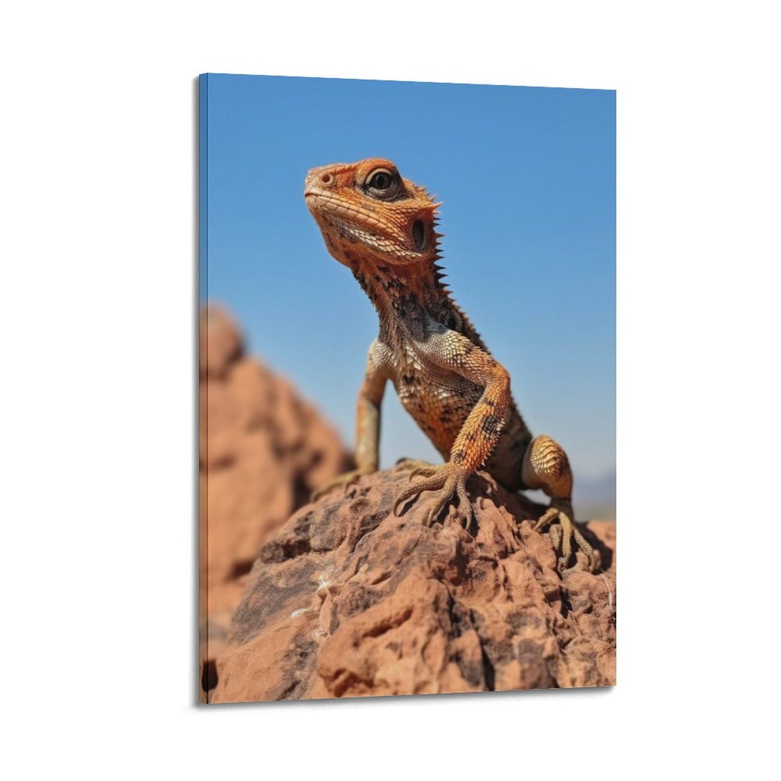 KYTIN Animal Poster Desert Chameleon Agama Lizard Decorative Painting Canvas 16x24inch(40x60cm)