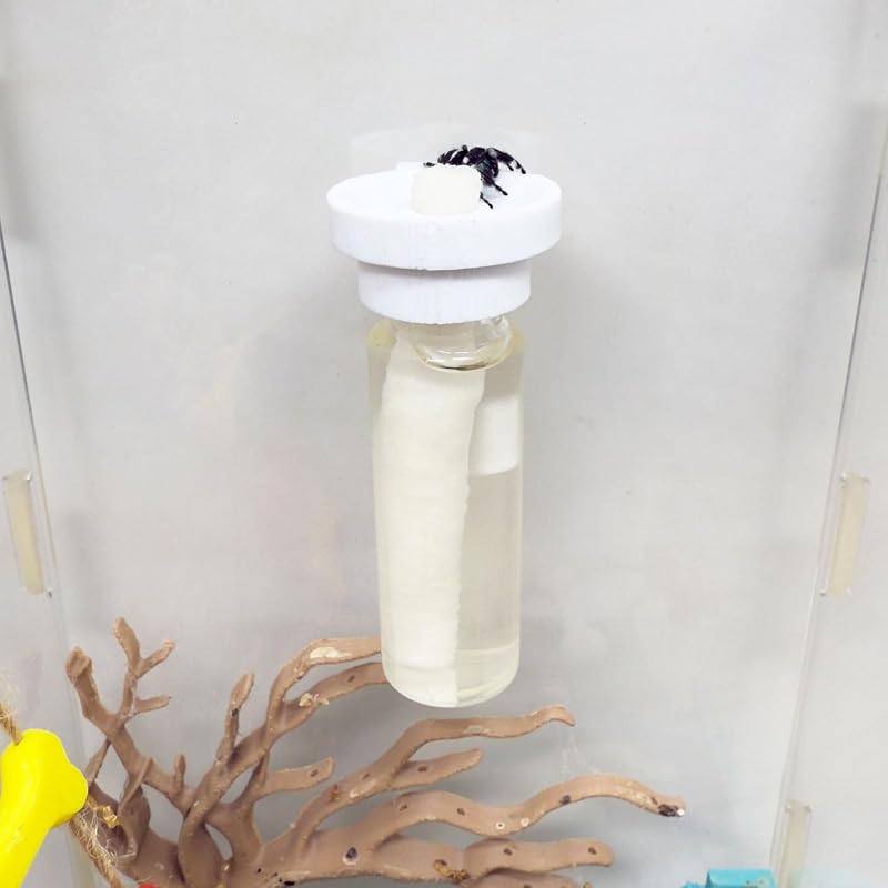 Bebedouro magnético com pavio de algodão para aranhas-saltadoras e pequenos animais Daerky, branco, 15 mL
