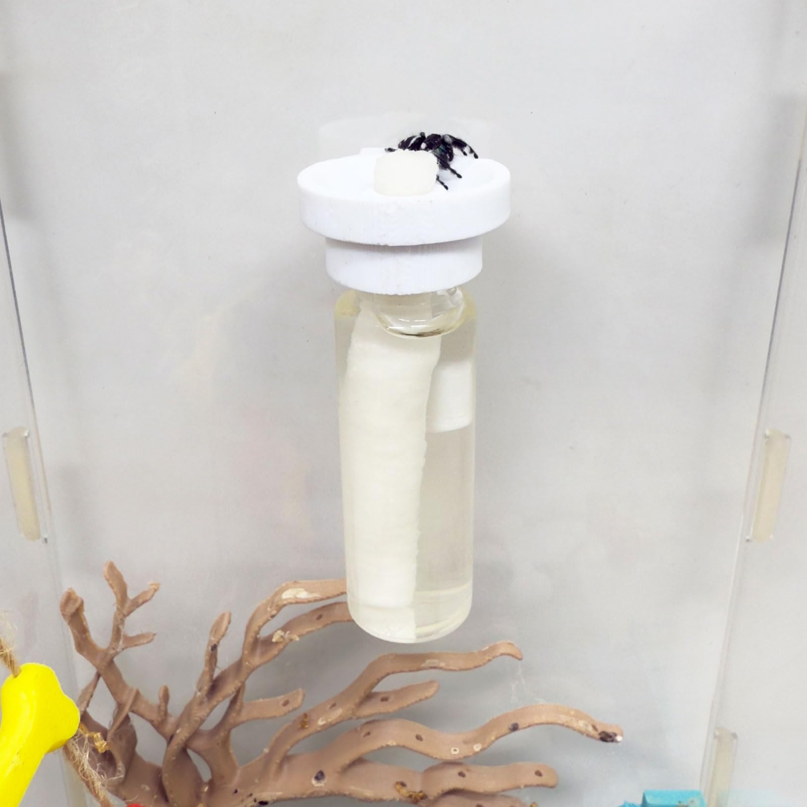 Jumping Spider Water Dispenser, Magnetic Hanging Feeder,Suitable for Jumping Spiders,Tarantulas, Praying Mantises,Arboreal Animals, and Other Small Animal Enclosure Accessories (Wood Color, 5ML) — view 20