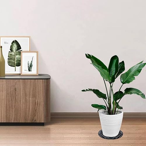 Miniatura 8 de 6 elevadores de plantas para macetas de interior, soportes para plantas, paquete de elevador de plantas para evitar la pudrición y daños en la