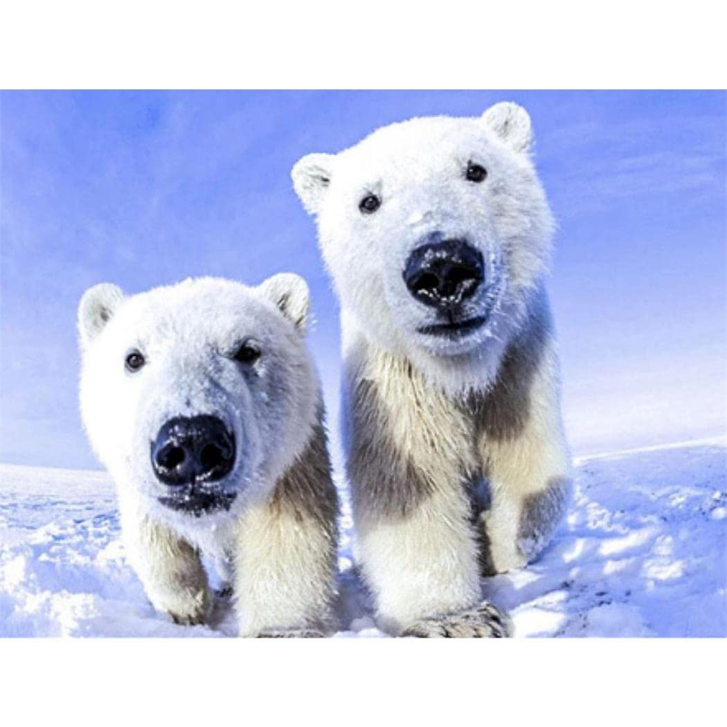 YSCOLOR Diamond Painting Kit 5D Orso Polare, 30x40cm, Tela Rotonda Completa Per Adulti E Bambini