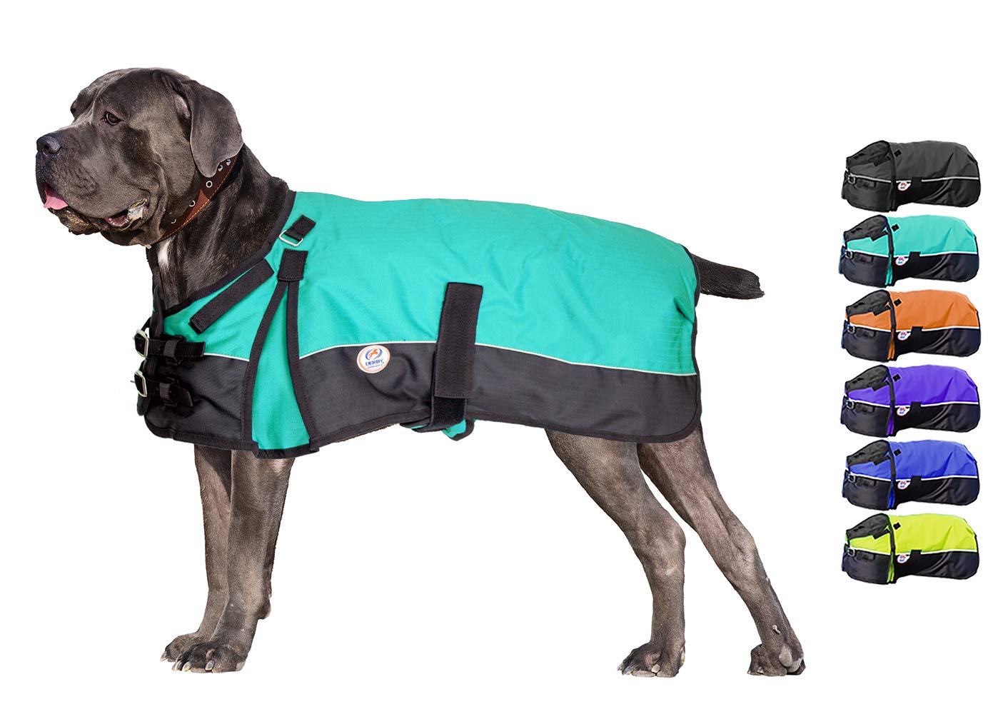 Derby OriginalsHorse Tough 600D Ripstop Waterproof Reflective Winter Dog Coat 150g Medium Weight, Turquoise, 26.5"