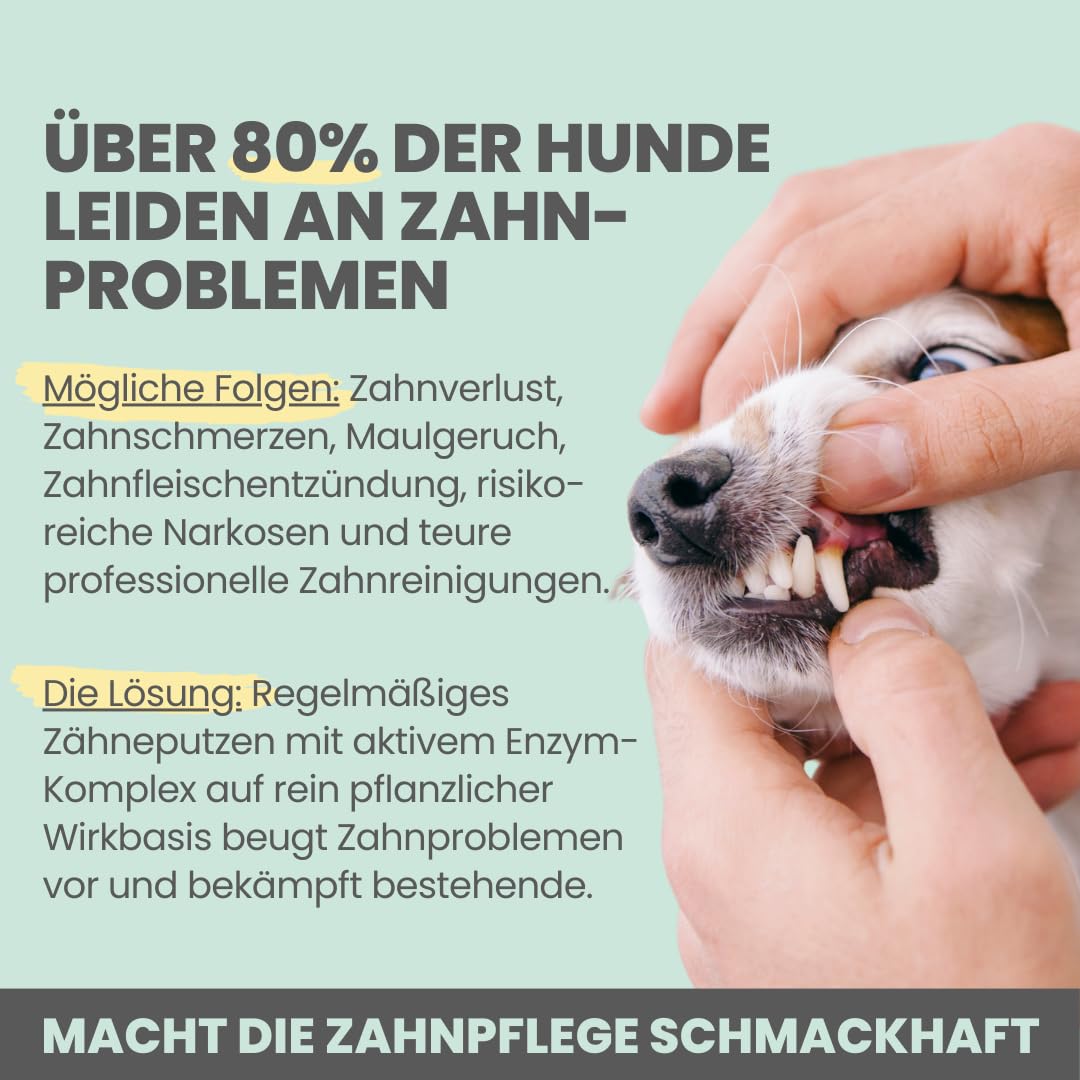 noms+ Enzymodent Enzymatische Hundezahnpasta mit natürlicher Pflege- und Präventionsformel gegen Mundgeruch und Zahnstein beim Hund