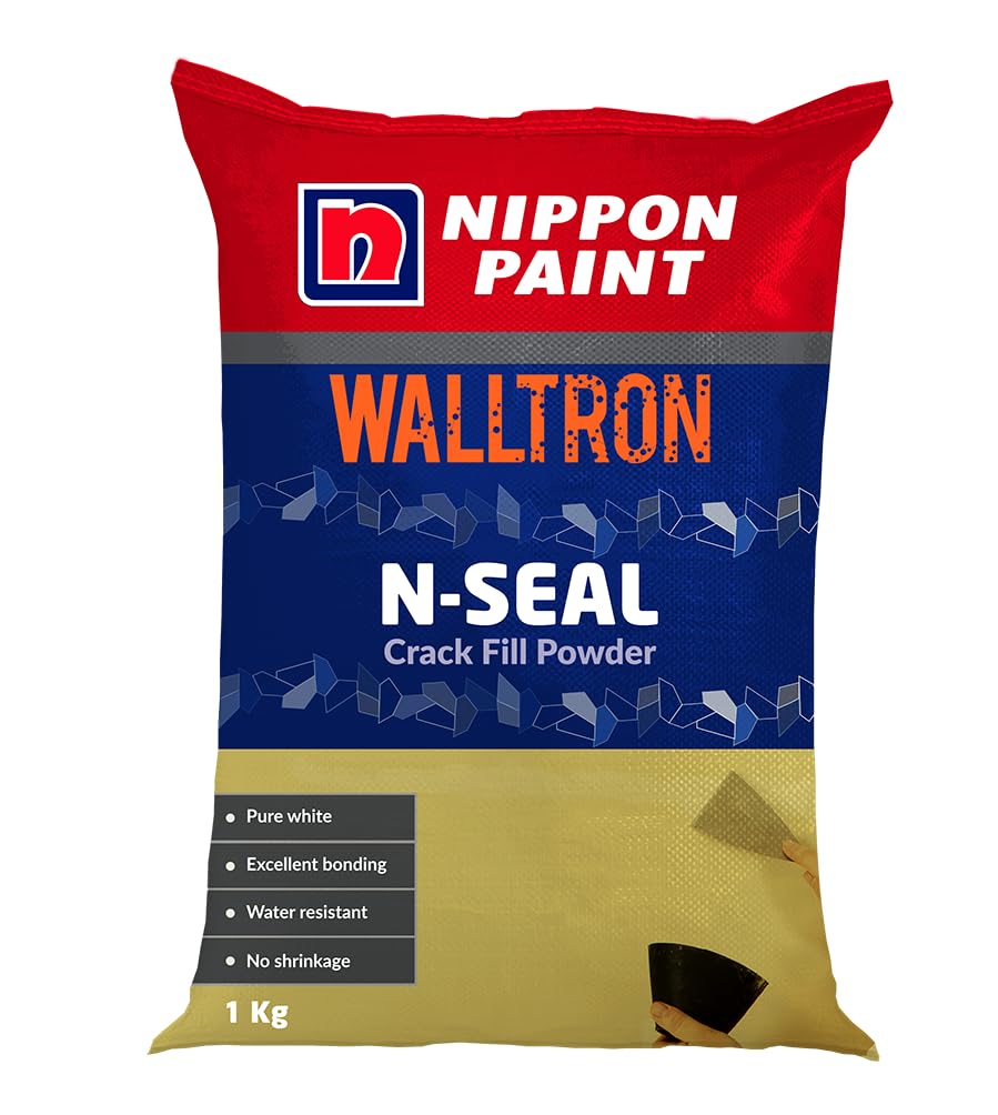 NSeal 1 Kg For Interior and Exterior