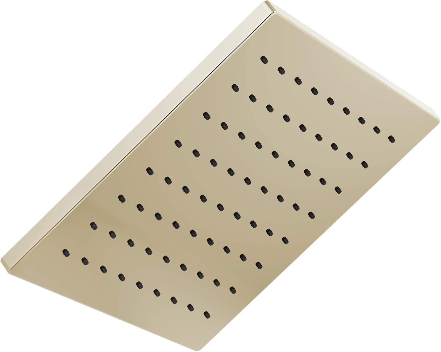 Delta faucet SingleSpray Raincan Shower Head, Polished