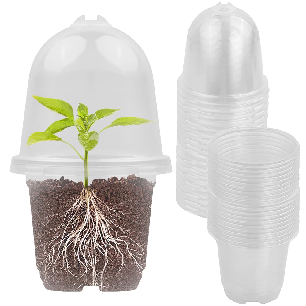Vmxlso 20 Piezas Maceta Transparente para Vivero, Macetas Plastico con Domo de Humedad, 9 cm Macetas Transparentes con Orificios de Drenaje, Macetas de Plastico para Semillas Plantas Suculentas Flores