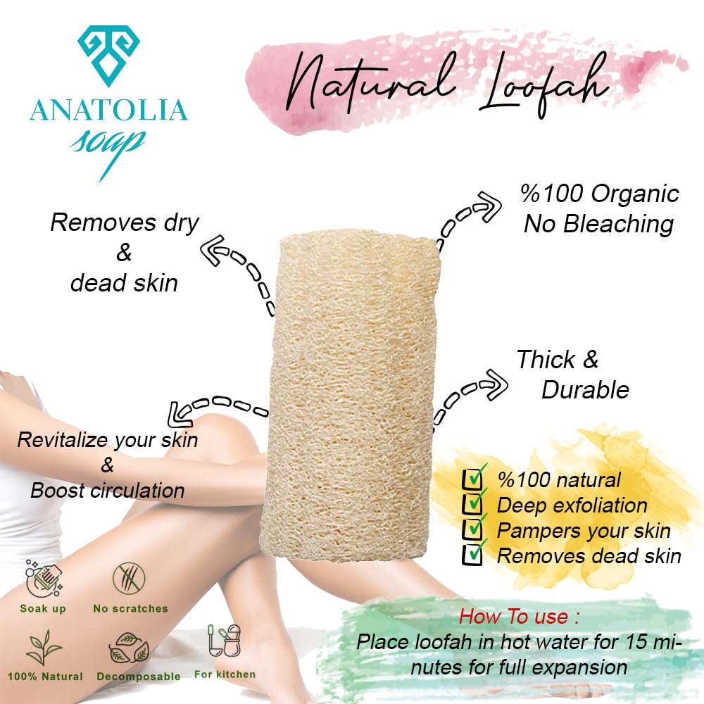 Anatolia Soap Doğal Kabak Bulaşık Süngeri 10 cm Doğal Lifler Anti-Bakteriyel 1 Adet