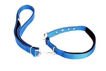 Dogista Pet Products YM-2405 Leash Collar Set, Large, 5.5 Feet