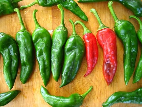 Chimayo Nuevo México Chile Posole Pepper Premium Paquete de Semillas