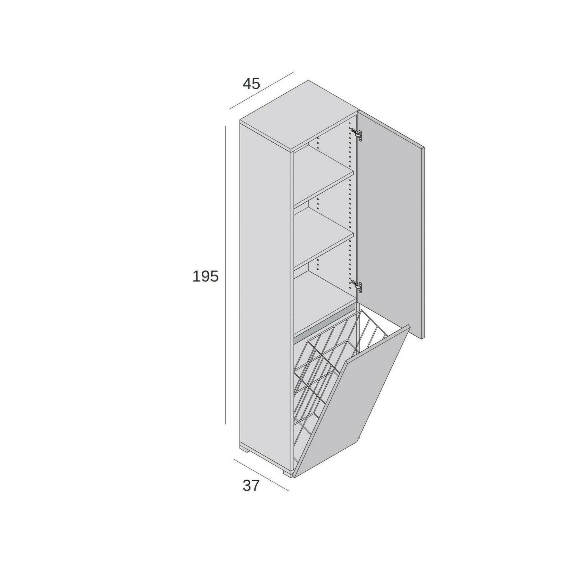 Dmora - Armadio multiuso 2 ante Agapanto, Mobile lavanderia a 2 ante, Colonna da bagno con cestello portabiancheria, 100% Made in Italy, 45x37h195 cm, Bianco