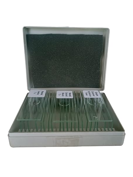 BEXCO 25 Zoology Prepared Microscope Slides Lab Specimens with Box