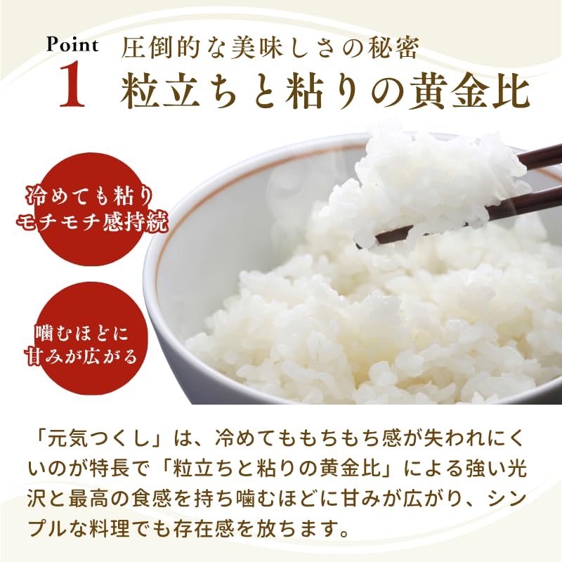Amazon.co.jp: 令和7年産 福岡県産 金のめし丸 プレミアム 元気つくし