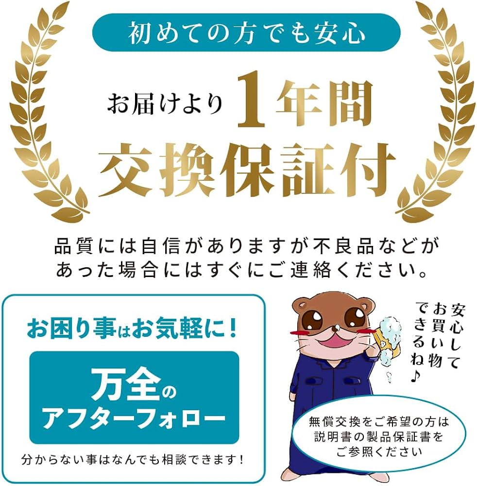 Amazon.co.jp: 【ながら洗車】スノーメンブラック『 誰でも泡