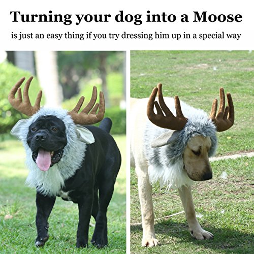 Onmygogo Funny Dog Halloween Costumes, Cute Furry Pet Wig For Halloween Christmas, Pet Clothing Accessories (Moose, Size M) #TOP4