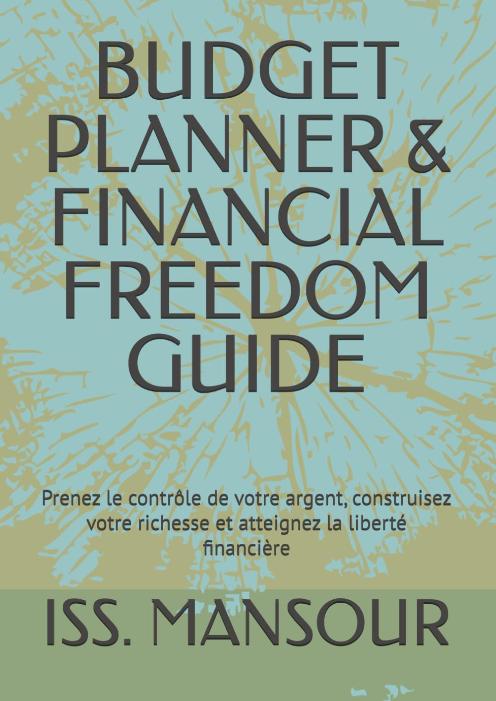 BUDGET PLANNER & FINANCIAL FREEDOM GUIDE: Prenez le contrôle de votre argent, construisez votre richesse et atteignez la liberté financière