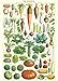 Cavallini & Co. Le Jardin Decorative Paper Sheet 20"x28"
