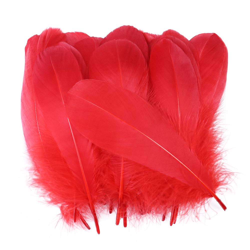 Fearafts Large Goose Swan Feathers Value Pack, DIY for Kids' Arts and Crafts, Projects - Image 2