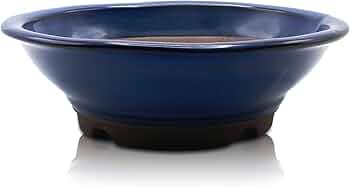 Amazon.co.jp: うめきち盆栽用品店 盆栽鉢 6号 丸陣笠鉢 青色 海鼠釉