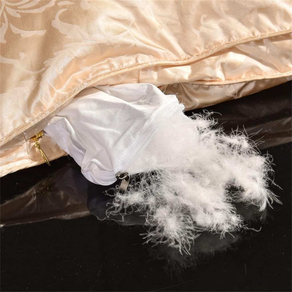 White Duck Down Quilt Down Fluffy Cozy Four Seasons Duvet Brocade Warm Queen King Quilted Comforters(200X230cm 2.5kg)