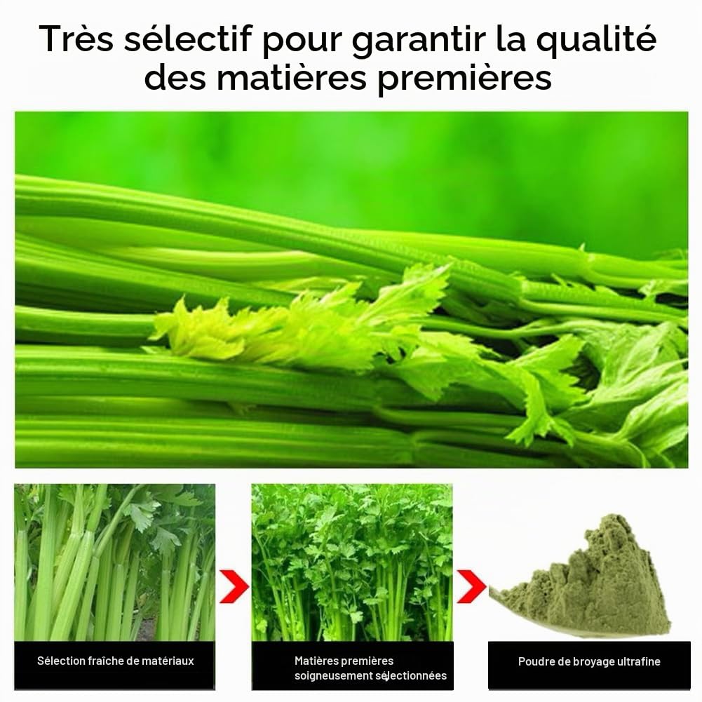100% Natural Pure Celery Powder 100g/3.52oz 芹菜粉 poudre de jus de céleri pour smoothies, shakes, pâtisseries et boissons, thé | poudre de jus Vert, poudre verte, sans conservateur