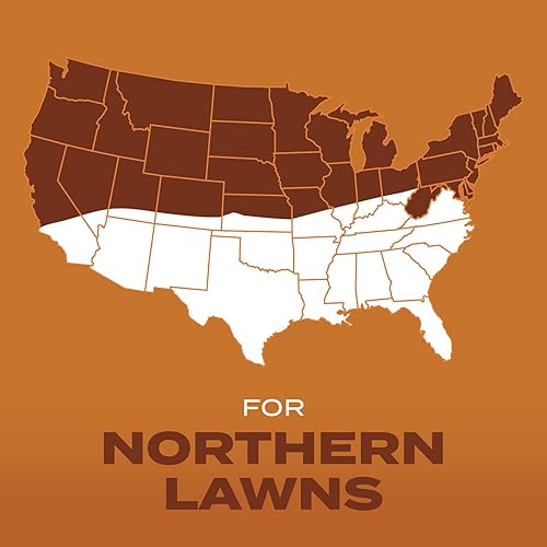 Miniatura 6 de Scotts Turf Builder Grass Seed - Semillas de pasto mezcla para sitios de alto tránsito 7-libras no para venta en Louisiana