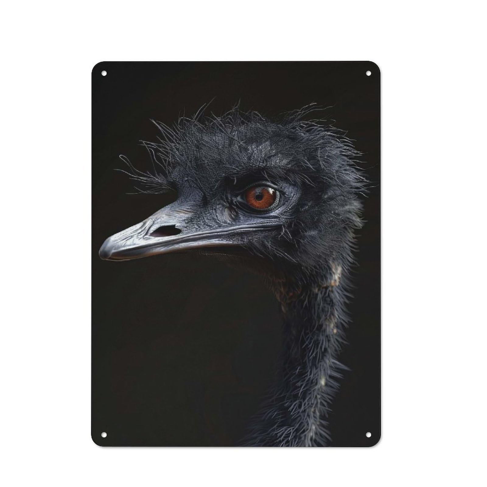 Junmoney Style-18 Rustic Tin Sign 40X30cm Featuring Emu For Living Room Wall, For Room Styling Across Living Rooms And Feature Walls
