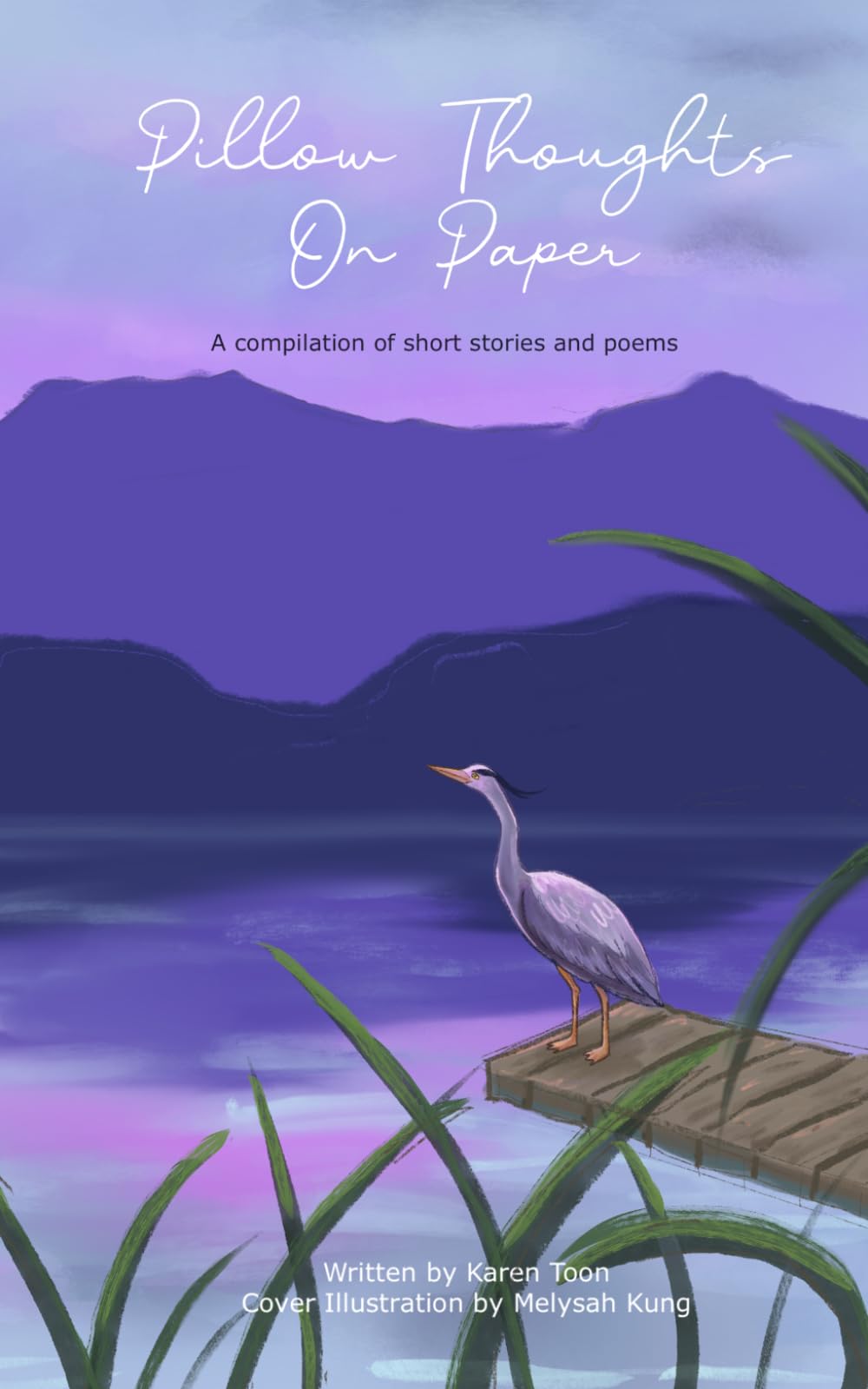 Pillow Thoughts on Paper: A Compilation of Short Stories and Poems