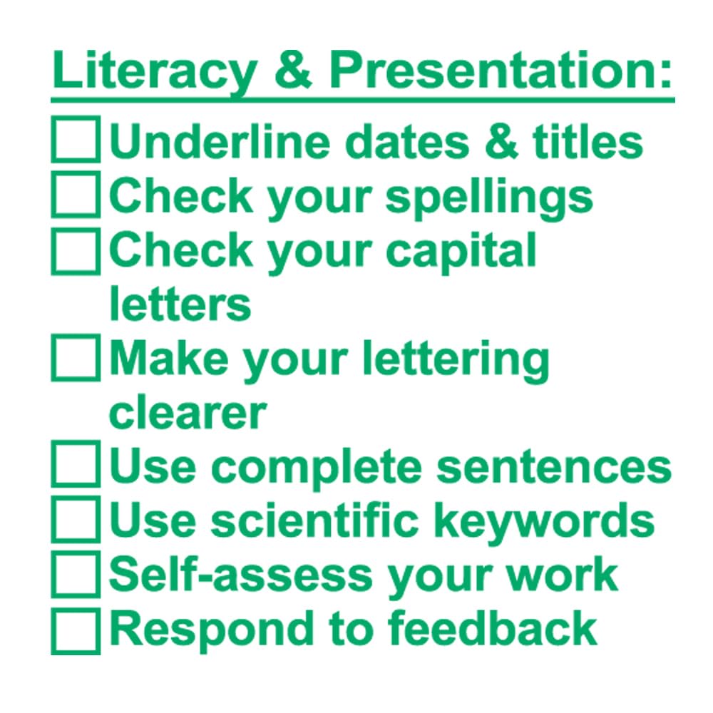 Xstamper Green Science Marking 8 Point Checklist Teacher Stamp. Medium Format (5X5cm) (Green)*