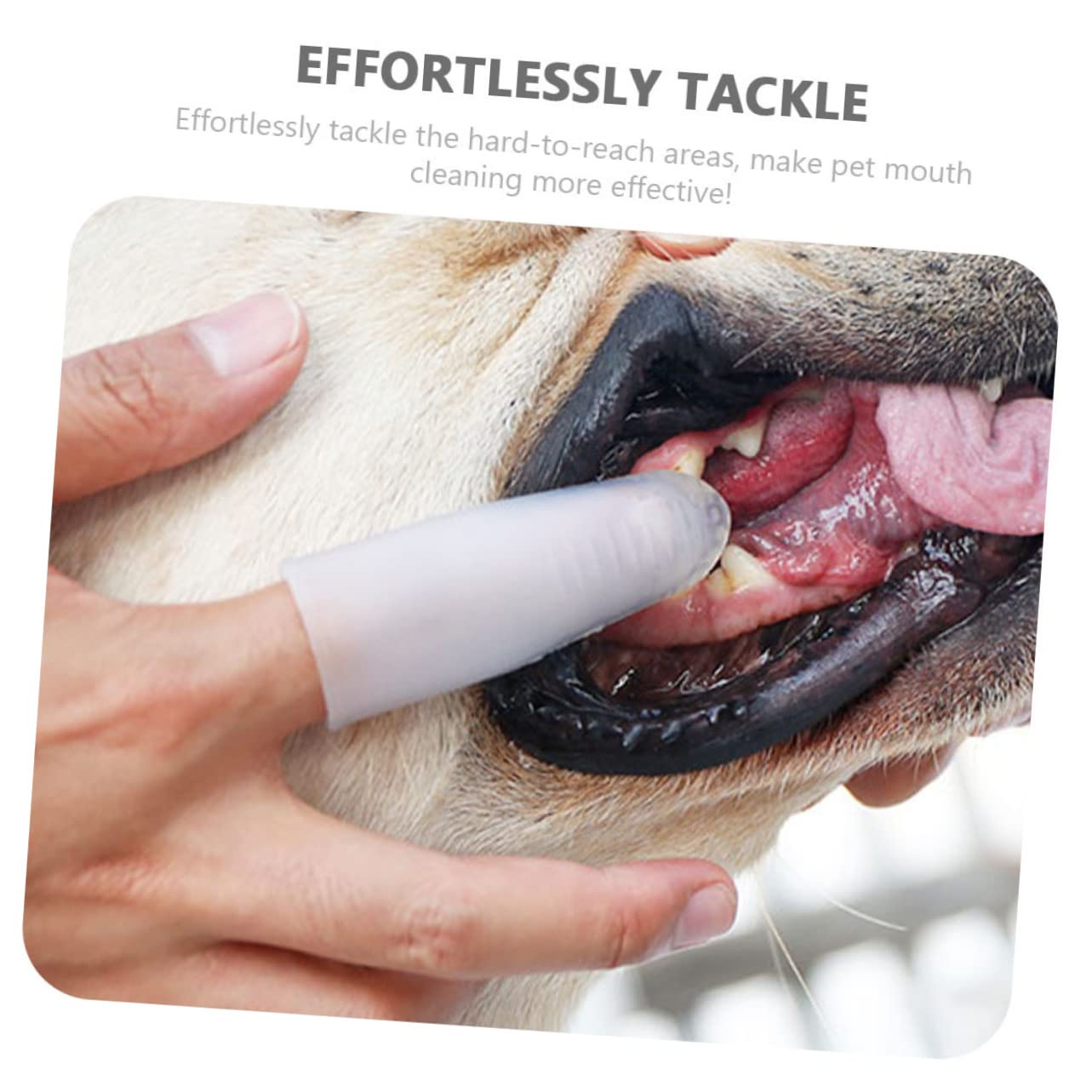 BESPORTBLE 3pièces Brosse à Dents Pour Chiens Et Silicone Outil De Soin Pour Animaux Brosse à Doigt Douce Pour Nettoyage Dents Gencives