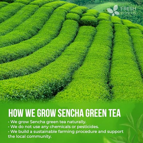 Image of FreshDrinkUS, Premium Sencha Powder 16 oz Fine Ground Green Tea Powder, Japanese-Style Tea for Hot or Iced Drinks, Unsweetened, Vegan & Gluten-Free
