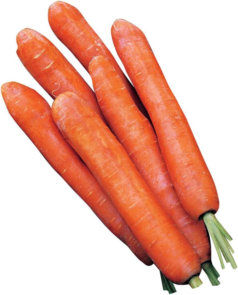 Burpee Nantes Half Long Carrot Seed Tape - 83 Pre-Spaced Heirloom Seeds, Easy Sow, 70-Day Crunchy Harvest