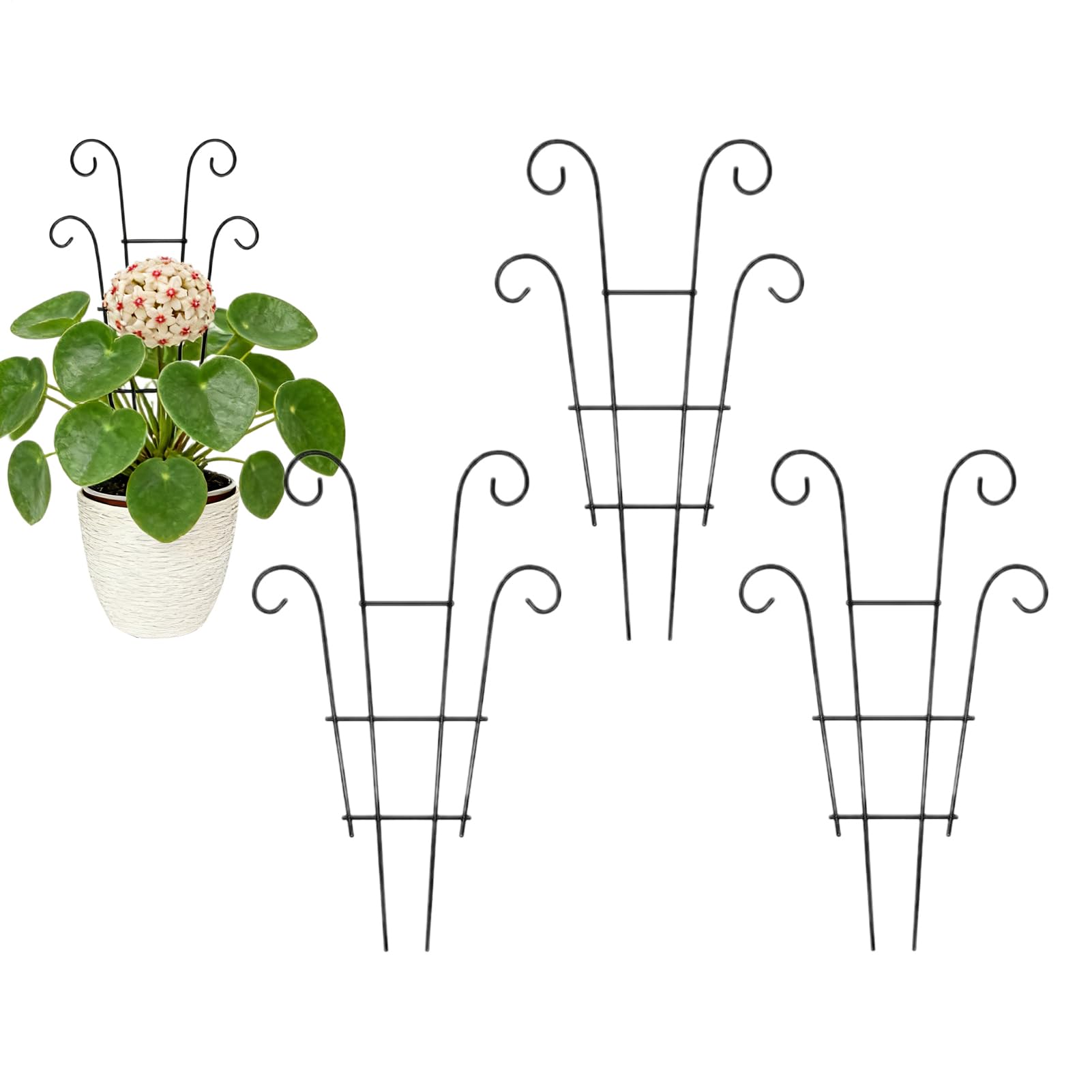Tuteurs pour plantes sur le balcon et la terrasse : lot de 4 tuteurs de 36 cm