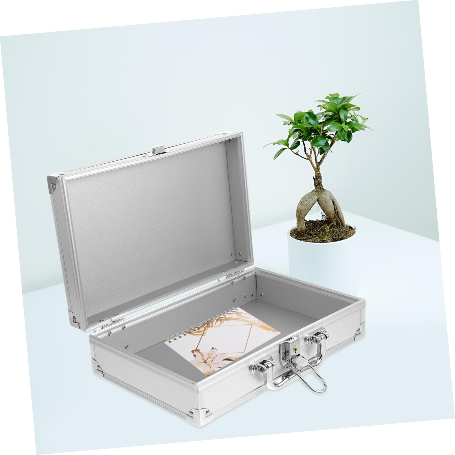 iplusmile Valigetta Portautensili Custodia Organizer Versatile Interno Capiente in Lega di Alluminio per Garage e Ufficio