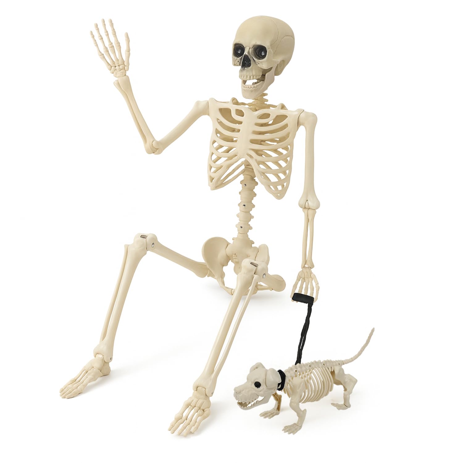 Squelette Halloween 160 cm Festicy avec chien finitions réalistes pour intérieur et extérieur