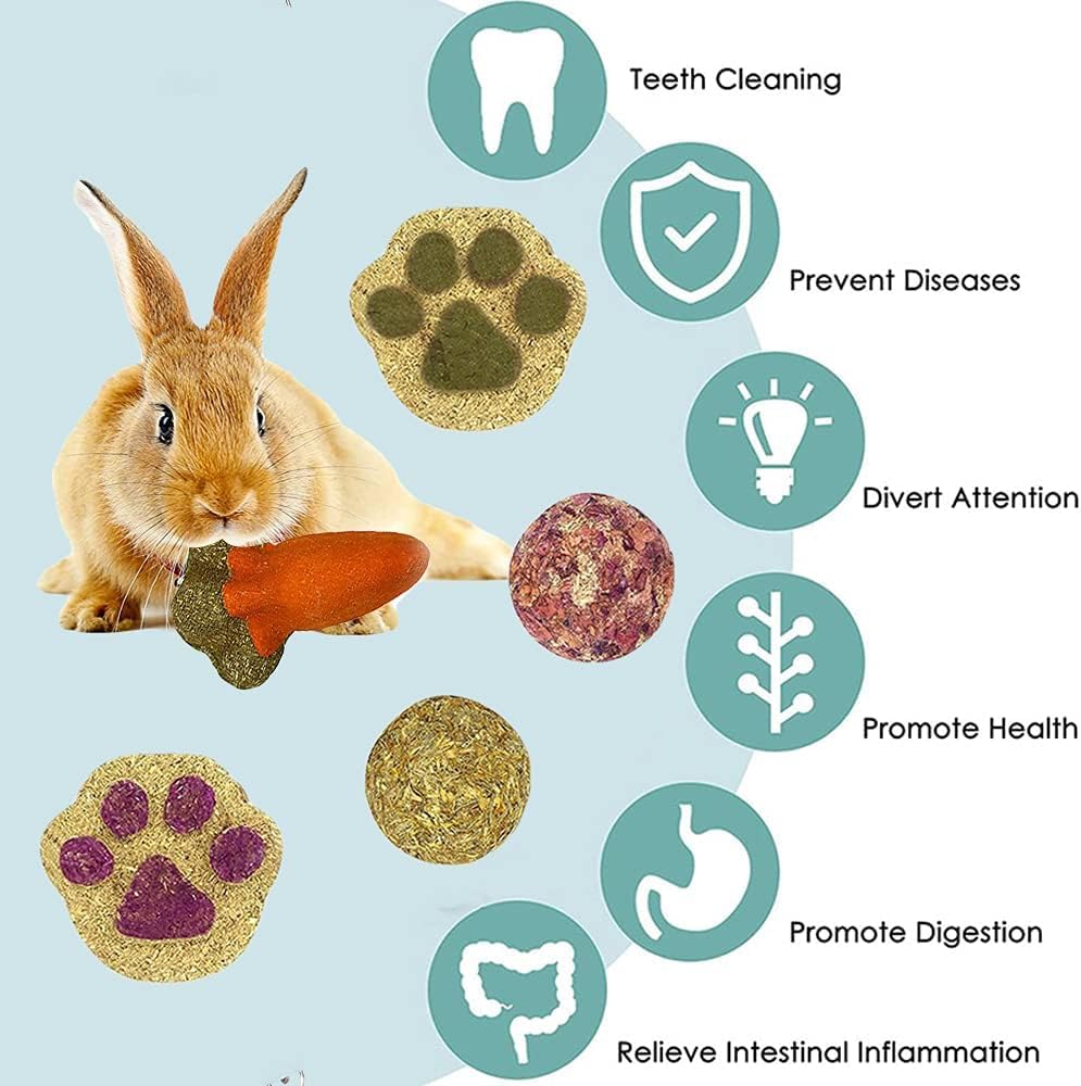 16 juguetes de hámster para dientes, juguetes de conejillo de indias, bolas de juego de conejo, juguetes molares naturales para el cuidado de los dientes para hámster, conejo