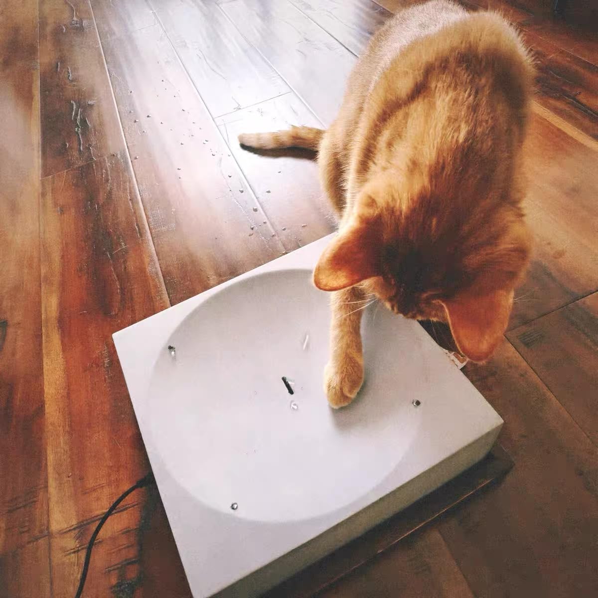 Automatisches Wassertropfen-Katzenspielzeug, moderne Skulptur von fließendem Wasser für Indoor-Katzen und Hunde, Bürogebrauch