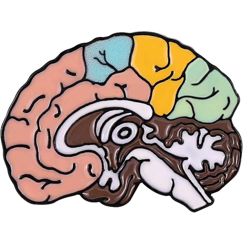 Sanfly Brain Brooch Pin Anatomy Medical Lapel Badge Pin Brain Decorative Pin For Clothes Jackets Medicine Jewelry For Doctor