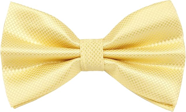 Alizeal Mens Solid Color Bow ties Polyester Pre Tied Wedding Bow Tie