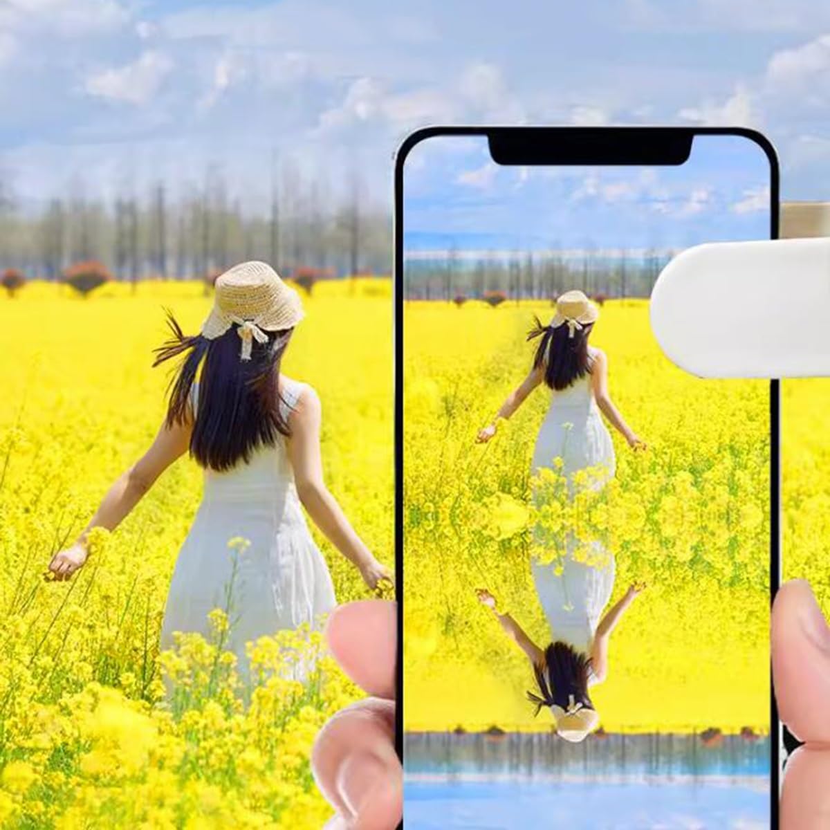 Smartphone of spiegelreflex: wat is beter