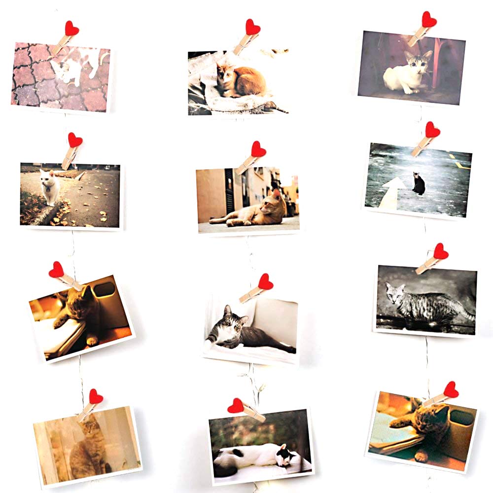 Veesee 50 Led Photo Clip Lights,Fairy String Light Gift for Teen Girls Room Wall Bedroom Decor, Hanging Lights for Festival New Year Cards Pictures Holder,USB Operated Warm White