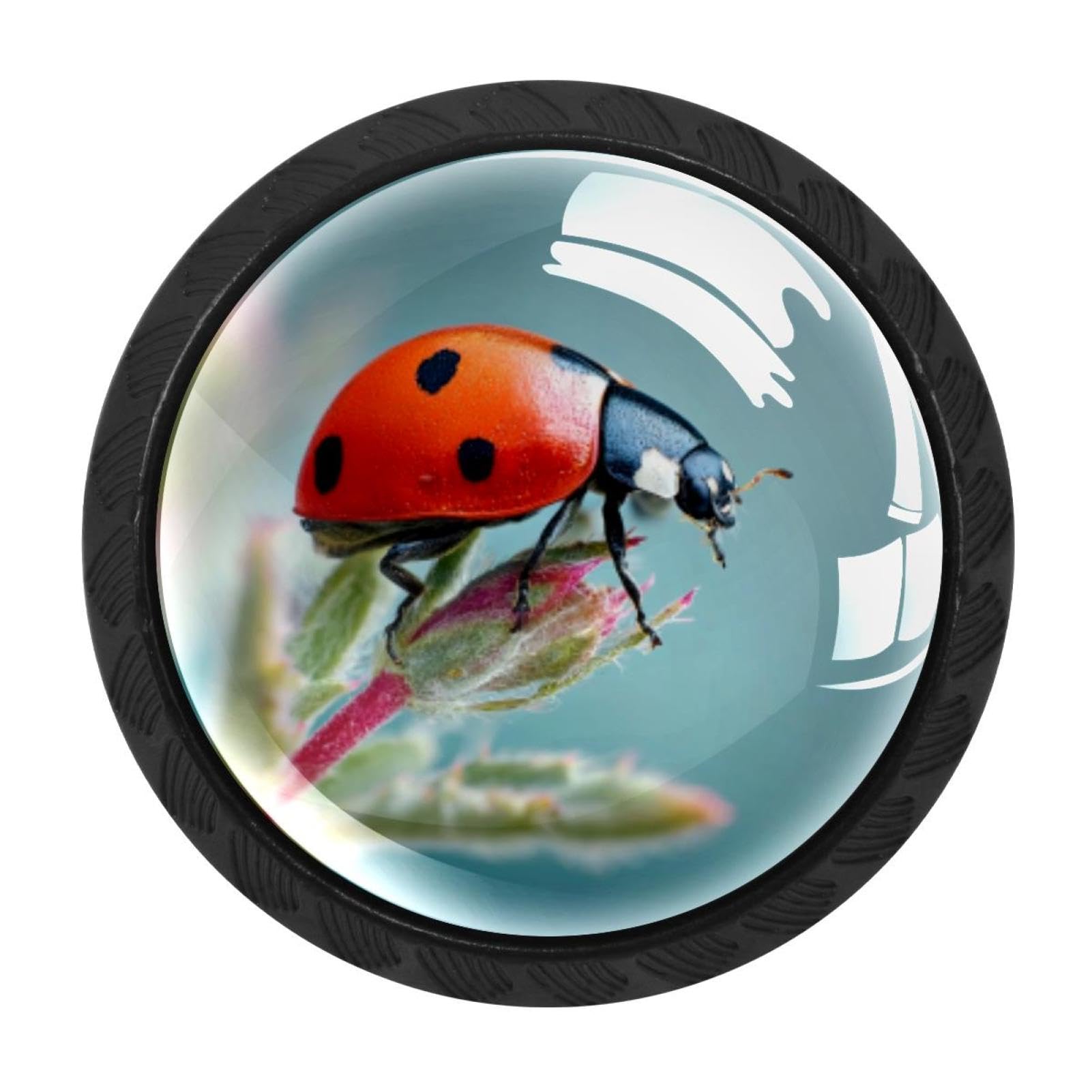 CHENZZZZ Ladybug (2) Colorful Drawer Pulls 4 Pcs Handle Glass Door Cabinet Knobs Home Office Kitchen Wardrobe Cupboard Hardware for Dresser Drawers