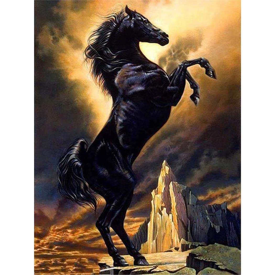 YSCOLOR 5D Diamond Painting Kits for Adults Horse Mountain DIY Diamond Art Kits Animal Cliff Round Rhinestone 30x40cm/11.8x15.8inch