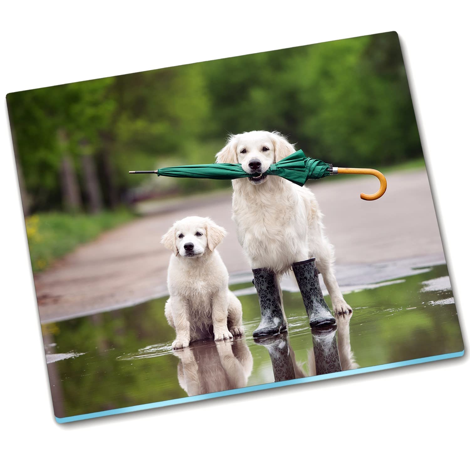 Planche à découper en verre trempé 60x52 cm protège-plaque induction motif chien Golden Retriever