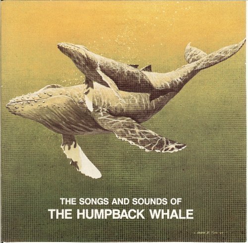 The Songs and Sounds of the Humpback Whale [Audio CD]