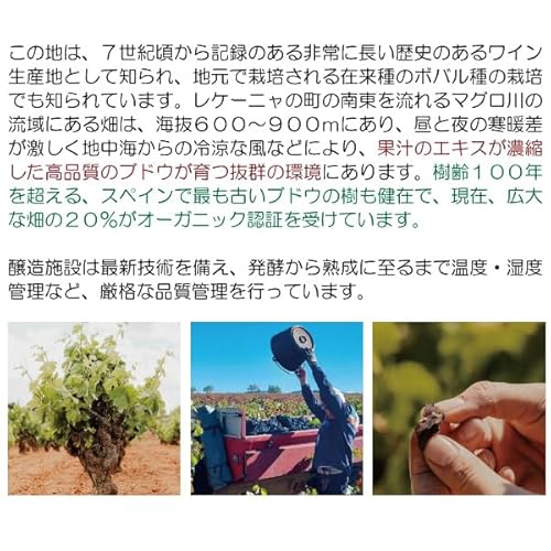 ワインプレス エンテリソ ティント 3L×4箱