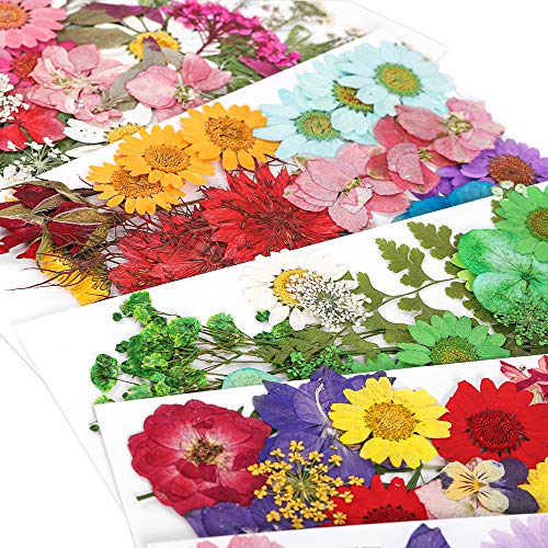 Flores secas para resina DIY 1 bolsa para manualidades miniatura 5