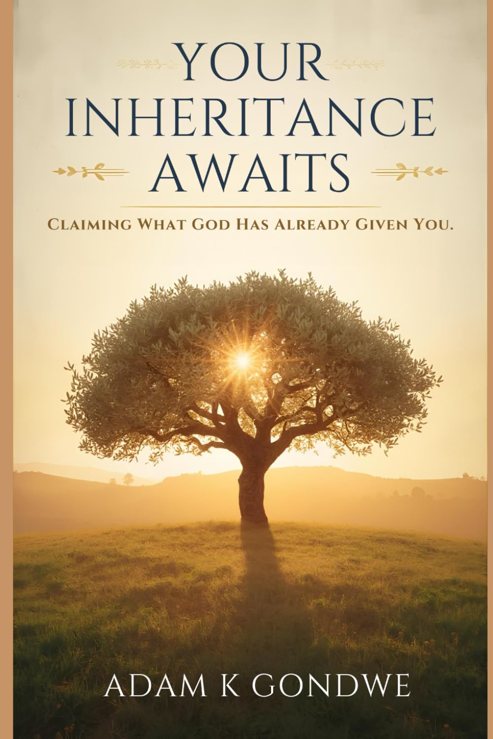 Your Inheritance Awaits: Claiming What God Has Already Given You