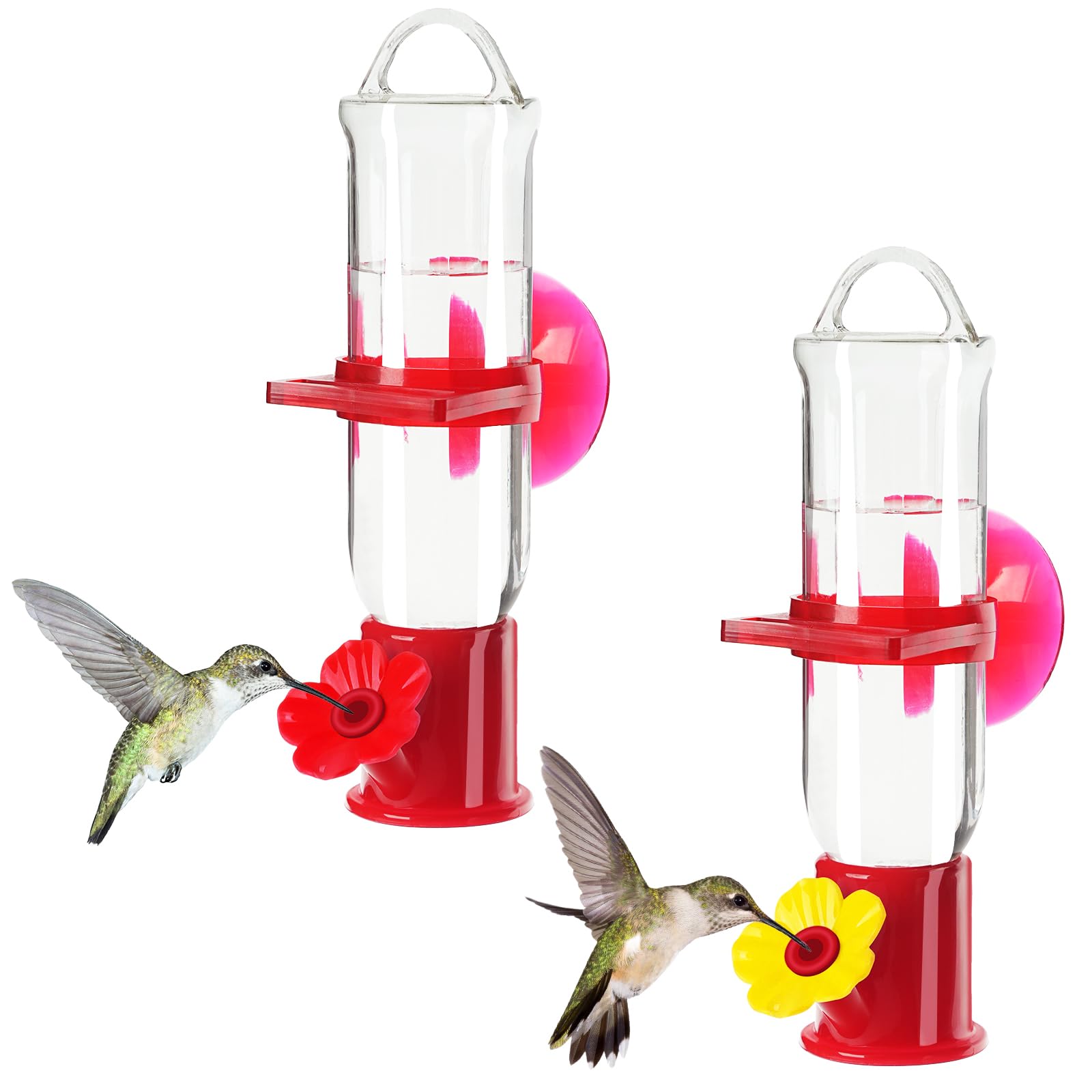 Fenster-Vogelfutterhaus Für Kolibris - Bequem Vögel Beobachten Von Drinnen!