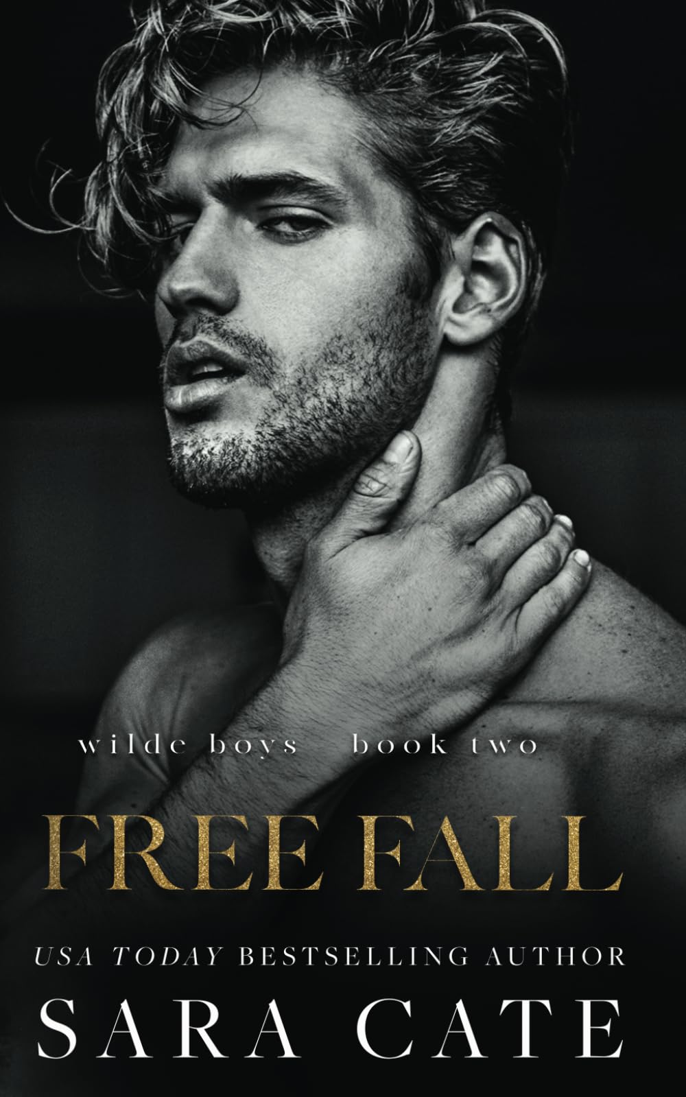 Free Fall: an MMF romance: 2 (The Wilde Boys)